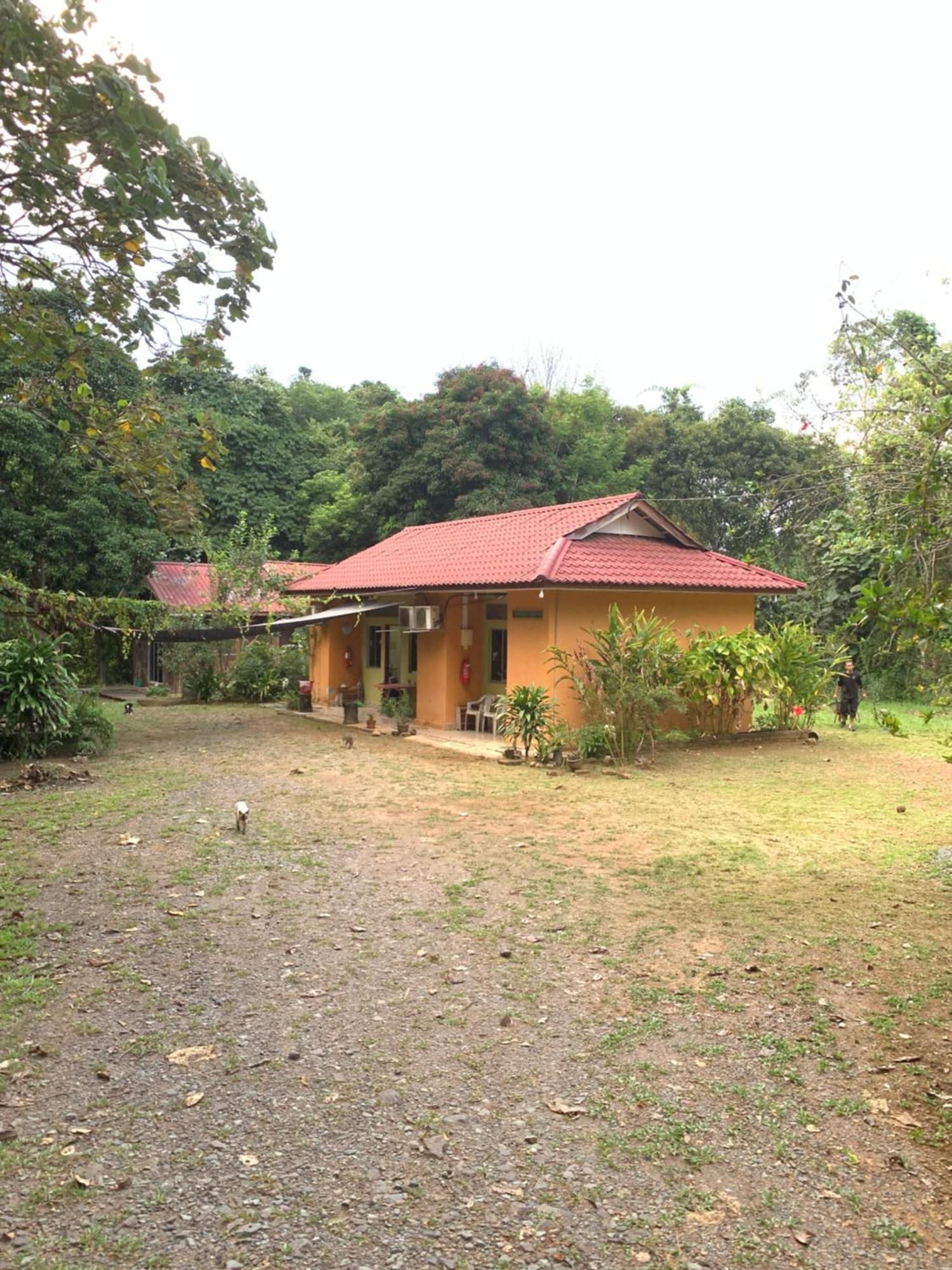 Ginger Guest Room Kuala Tahan Exterior photo